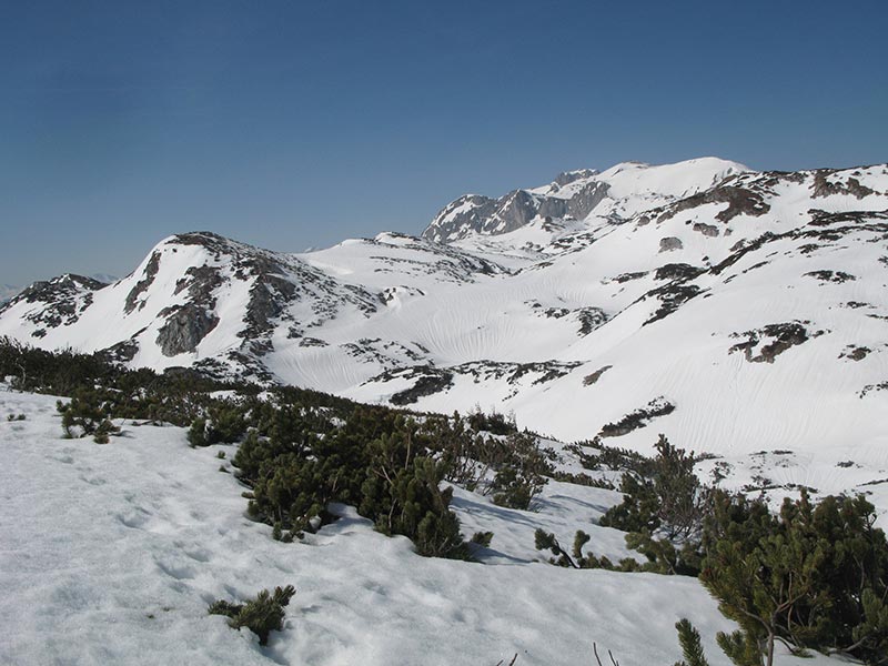 Allakogel, Polster, Ebenstein